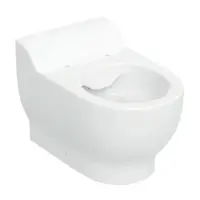 Vas WC monobloc pentru copii, 53 cm x 33 cm, alb, Rimfree, Geberit Bambini