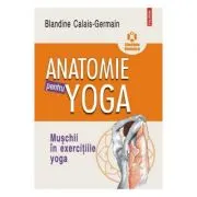 Anatomie pentru yoga