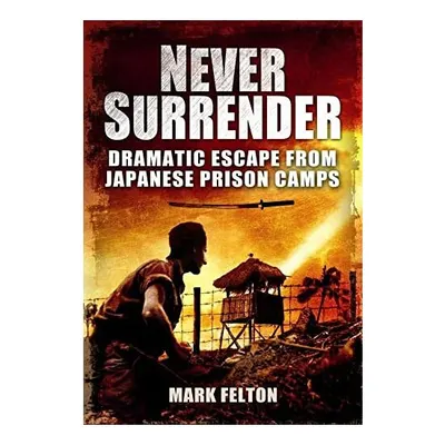 Never Surrender