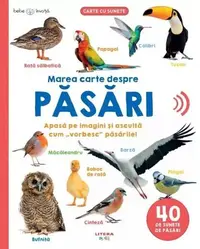 Bebe învață. Marea carte despre păsări - Hardcover - ***