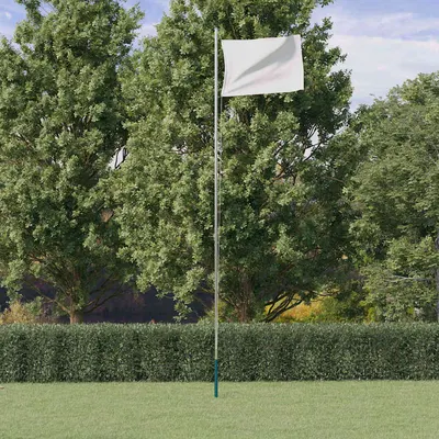 vidaXL Stâlp de steag telescopic, argintiu, 6,08 m, aluminiu
