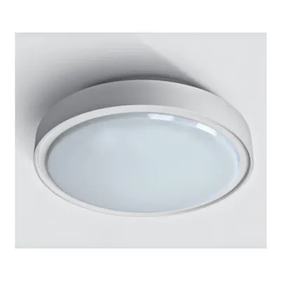 Plafonieră Berry LED 30W, 3000K, 1800lm, 230V, IP65