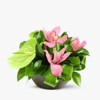 Aranjament floral cu anthurium si orhidee