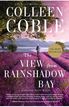The View from Rainshadow Bay