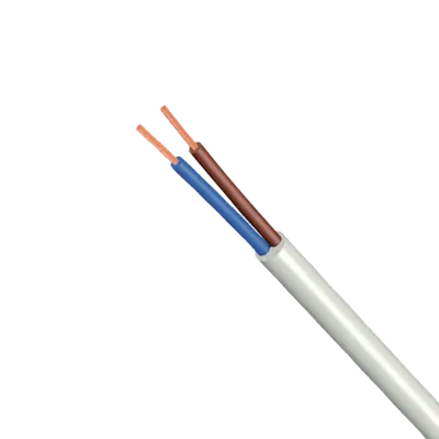 Cablu Electric H03vv-F 2x0.5mm² 0.3kv Plat