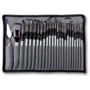 Set pensule profesionale