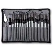 Set pensule profesionale
