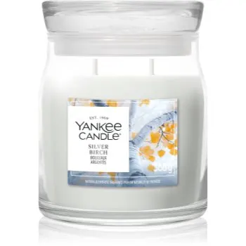 Yankee Candle Silver Birch lumânare parfumată