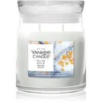 Yankee Candle Silver Birch lumânare parfumată