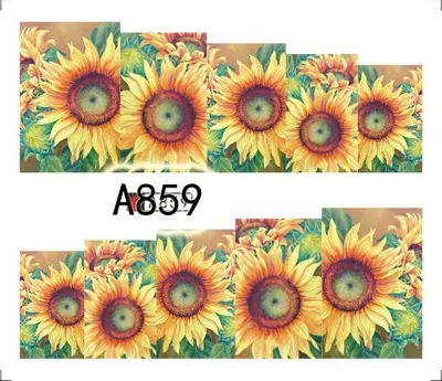 Tatuaj - A859