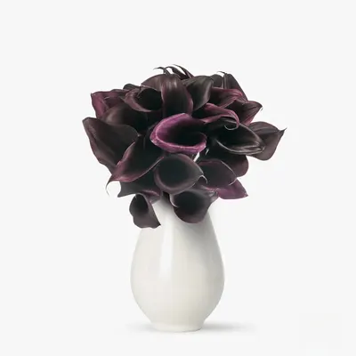 Buchet de 29 cale negre