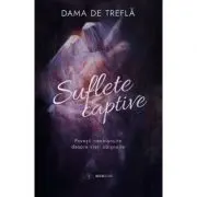 Suflete captive. Povesti neobisnuite despre vieti obisnuite