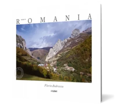 Made in Romania (italiana)