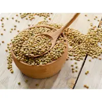 Linte verde bob mic PP - 1kg