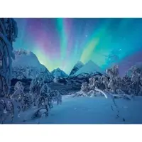 Ravensburger - Puzzle spectacol arctic 1500 piese
