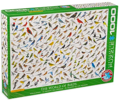 Puzzle Eurographics din 1000 de piese - Colaj cu pasari