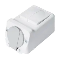 Socket+two Button One Way Switch 16а 250v, Ip44