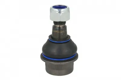 Pivot axa Dreapta Stanga (inferior fata) (diametru con 21,9mm) potrivit MERCEDES SPRINTER 3,5-T (B906), SPRINTER 3-T (B906), SPRINTER 4,6-T (B906), SPRINTER 5-T (B906) 1.8-3.5 04.06