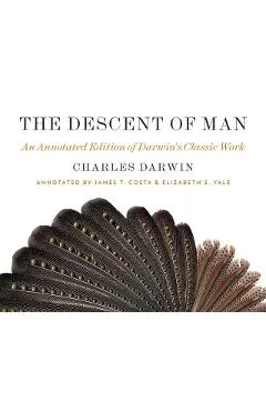 Descent of Man