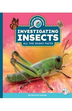 Investigating Insects: All the Buggy Facts