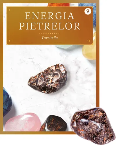 Turritella. Volumul 9. Energia pietrelor