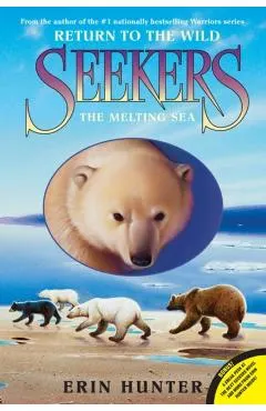 The Melting Sea