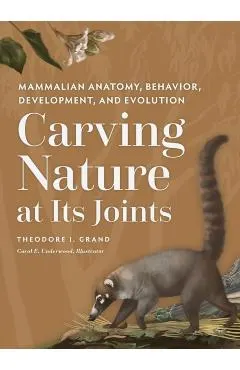 Carving Nature at Its Joints: Mammalian Anatomy, Behavior, Development, and Evolution