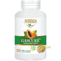 Gascure 120tb