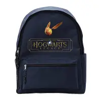 Ghiozdan Harry Potter - Hogwarts Legacy