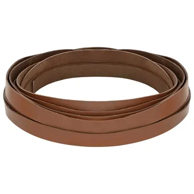 vidaXL Curea Din Piele 1 Maro 500 x 2 cm Piele