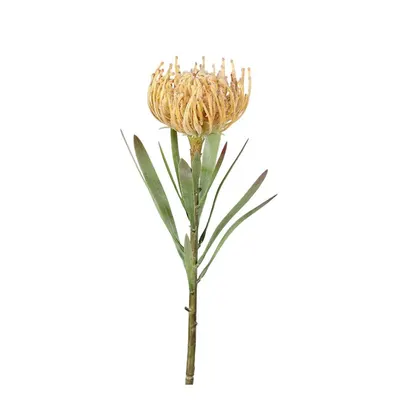 Plantă artificială (înălțime 43 cm) Protea – Ego Dekor