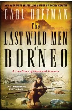 The Last Wild Men of Borneo: A True Story of Death and Treasure