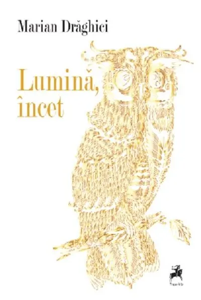 Lumină, încet - Paperback brosat - Marian Draghici