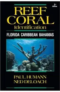 Reef Coral Identification: Florida Caribbean Bahamas, Including Marine Plants