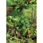 Puzzle 1000 piese + saculet, Jungla, Kiub