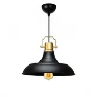Lustră neagră cu abajur din metal ø 25 cm Tarsus – Opviq lights