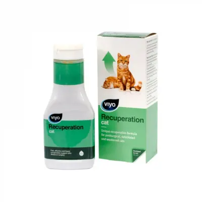 Viyo Recuperation Cat 150 ml