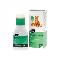Viyo Recuperation Cat 150 ml