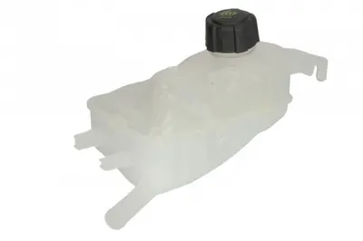 Vas expansiune racire (cu priza) potrivit RENAULT ESPACE IV, FLUENCE, GRAND SCENIC III, MEGANE, MEGANE III, SCENIC III 11.02