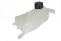 Vas expansiune racire (cu priza) potrivit RENAULT ESPACE IV, FLUENCE, GRAND SCENIC III, MEGANE, MEGANE III, SCENIC III 11.02-