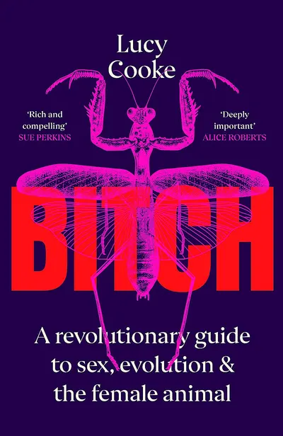 Bitch