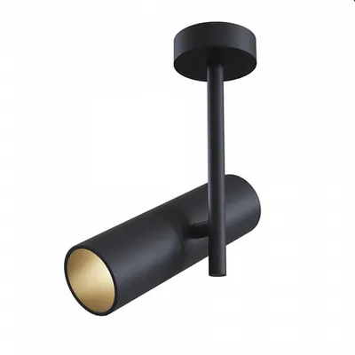 Plafoniera, lampa tavan EltinC020CL-01B
