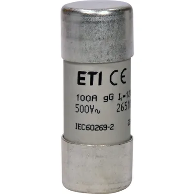 Siguranta CH22x58 gG 100A/500V 002651050