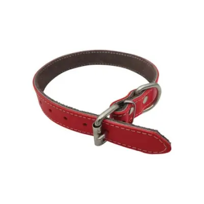 Zgarda din piele pentru caini Nr.3 Petro Rosie 2,3 x 50cm