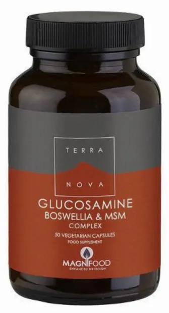 Glucosamine, Boswellia & MSM Complex, 50 capsule, Terra Nova