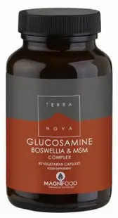 Glucosamine, Boswellia & MSM Complex, 50 capsule, Terra Nova