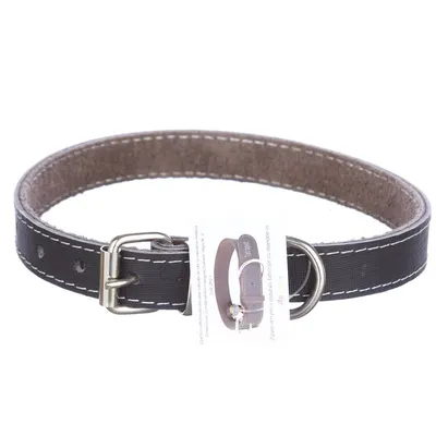 Zgarda din piele, neagra, pentru caini de talie medie, 2 cm x 45 cm