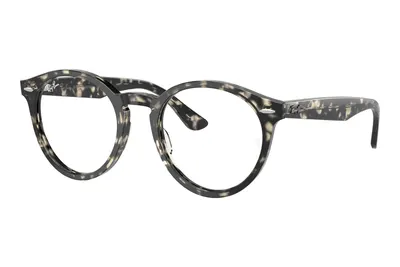Ray-Ban Larry RX7680V 8117