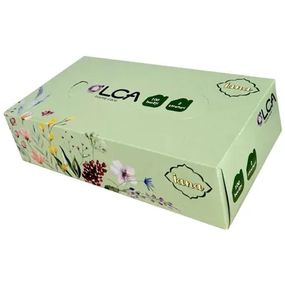 Servetele Faciale, 2 Straturi, Iana, 100 Bucati, Elcadis