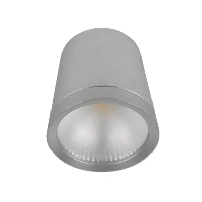 Spot cu Led Rdlcob 20w 230v 4000k 60° Argintiu